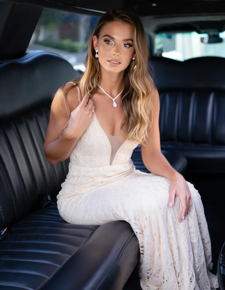 Limousin ✨